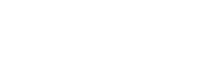 Stealth Technologies Logo